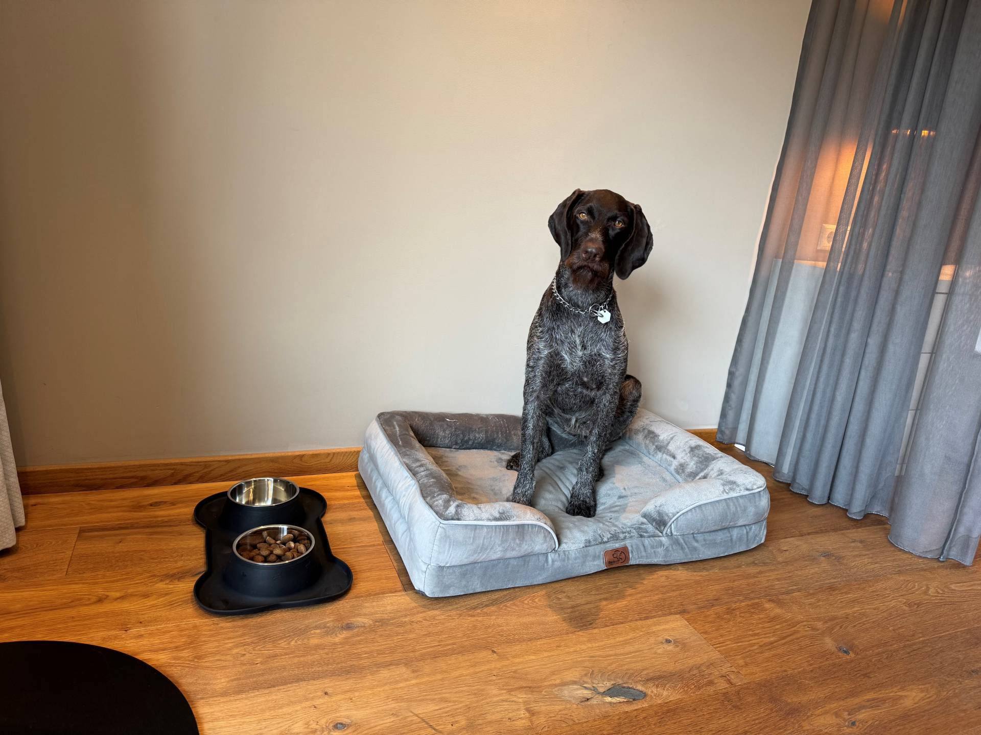 für Spaziergänge und Wanderungen - Hotel Aurelia