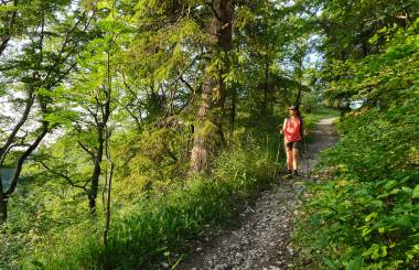 Wanderin auf Trampelpfad im Wald 