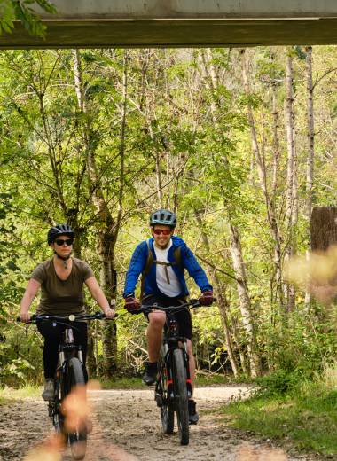 Mountainbiker im Wald